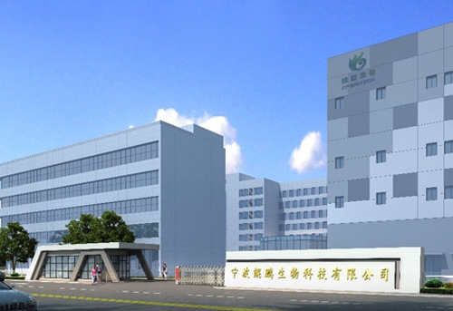 宁波永乐高60net