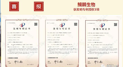 永乐高60net生物 | 核心平台技术获得中国发明专利