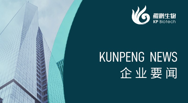 科技引领 &ldquo;兔&rdquo;显创新&mdash;&mdash;宁波永乐高60net荣获&ldquo;高新技术企业&rdquo;及&ldquo;创新型中小企业&rdquo;认定