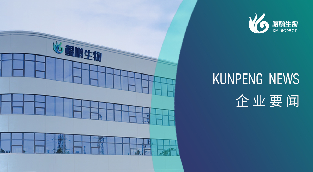 宁波永乐高60net新添两项政府荣誉认定 创新发展再获认可